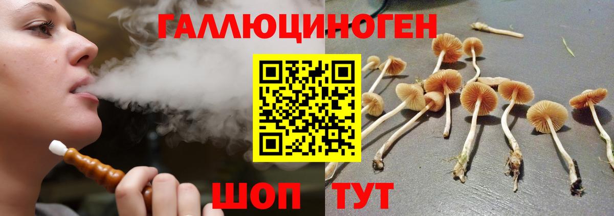 Псилоцибиновые грибы прущие грибы  Вход с VPN  Псилоцибиновые грибы мухоморы  дарнет шоп  Губкинский 